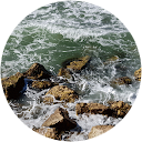 Daniel Aharon profile picture